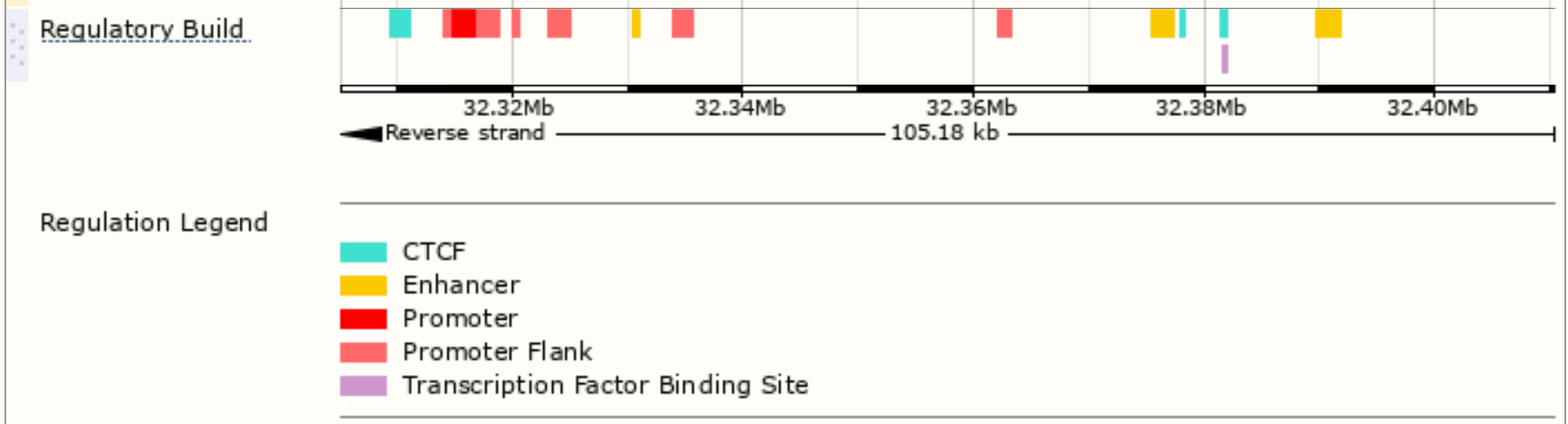 regulatory build