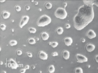 Single-cell sequencing analysis