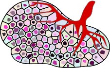 Computational cancer epigenomics